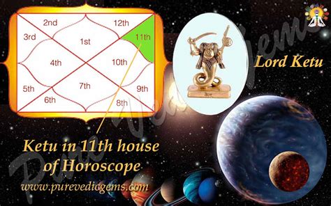 The 2nd house represents family while the 7th house and 11th house signify marriage and gain respectively. . Ketu in 11th house past life